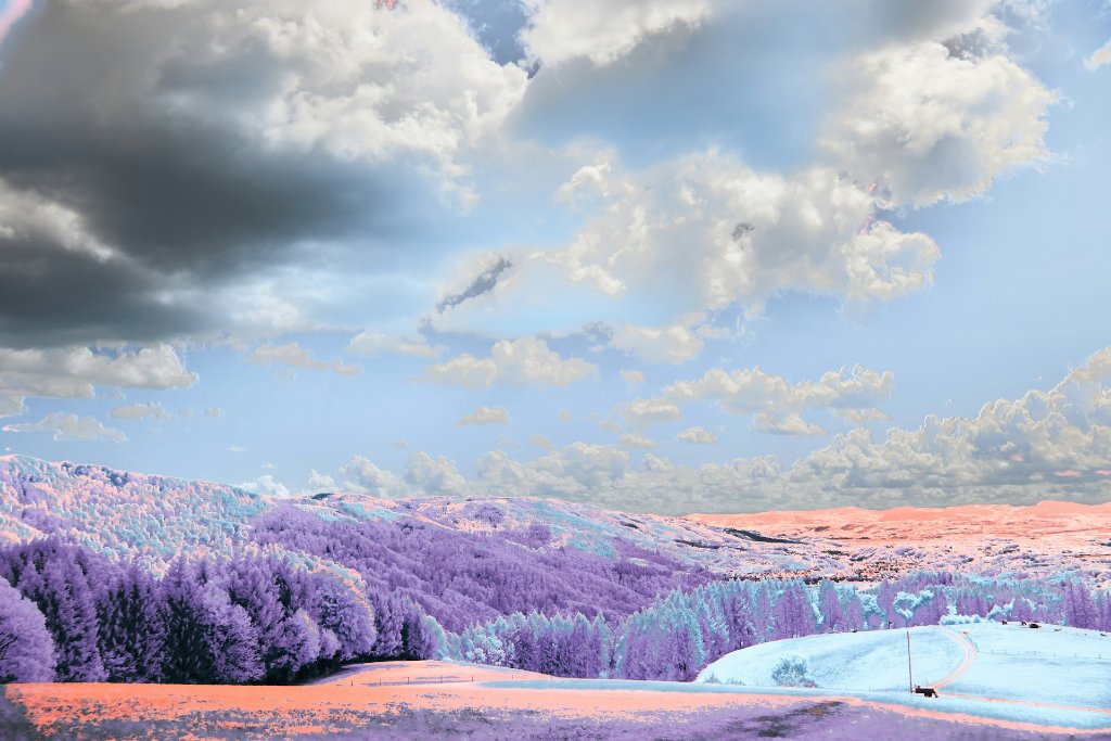 What Is Infrared Photography?