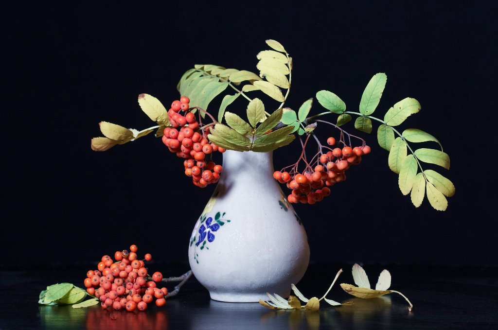 Still Life Photography Ideas at Home for Beginners