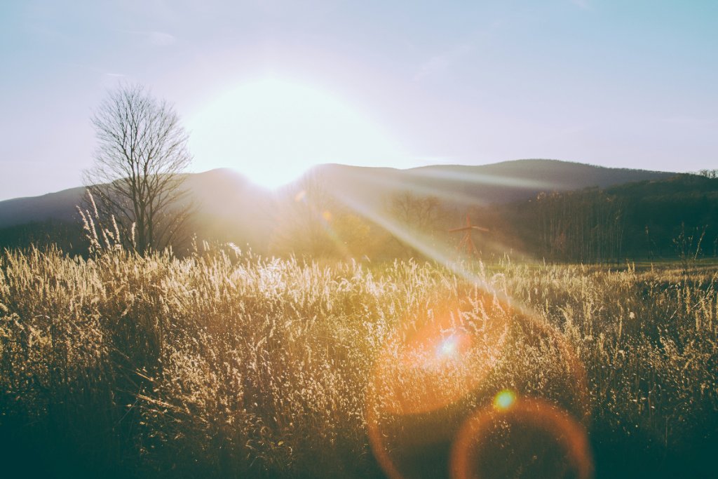 Camera Settings for Early Morning Light