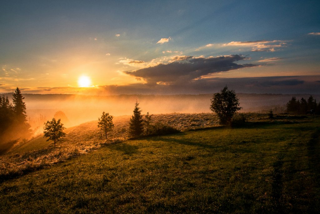 How Photographers Capture Soft Light in the Morning