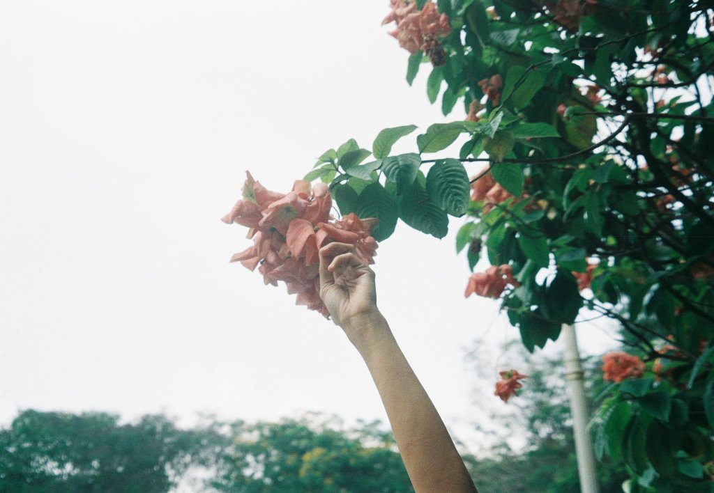 35mm Film Photography Tips for Beautiful Results