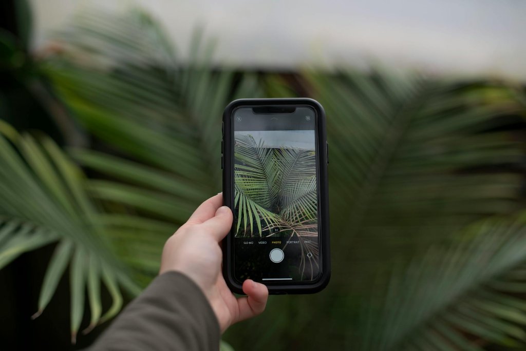 How to Take Professional Photos with Your Phone