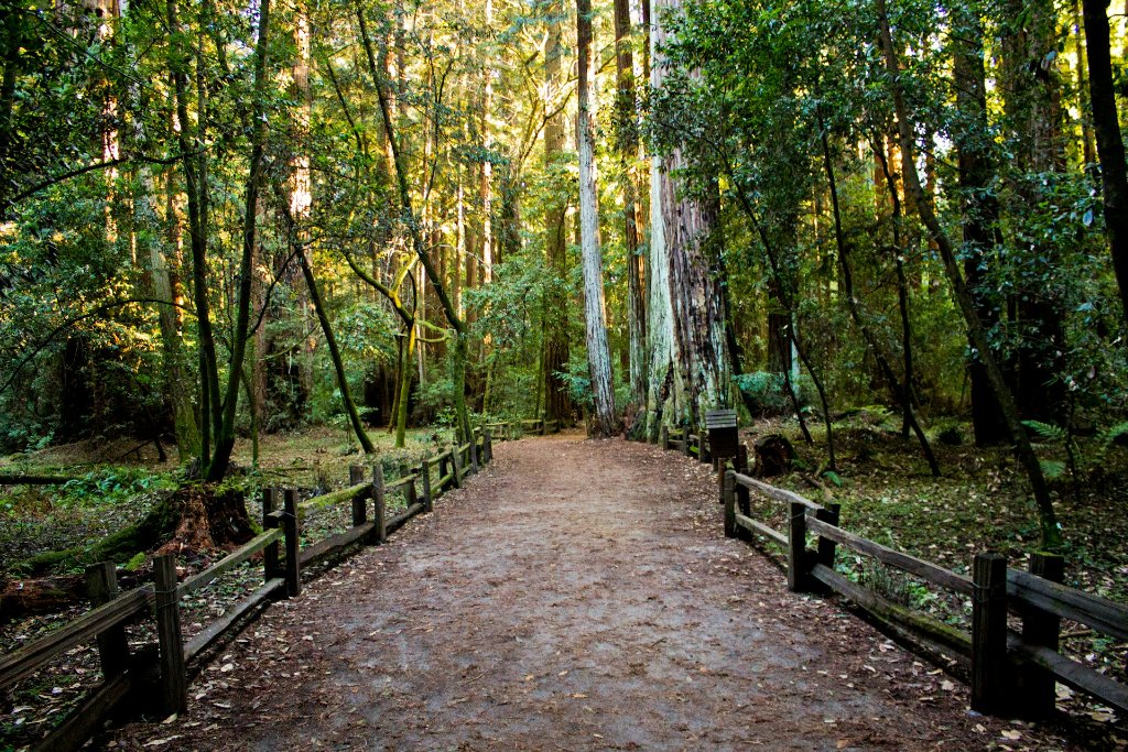 Free Photography Contests to Enter in 2026