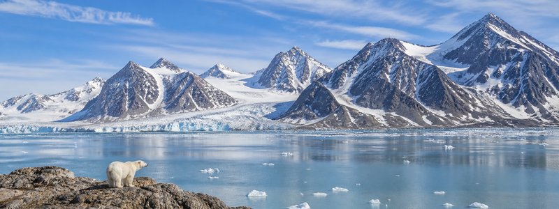 Arctic Expedition