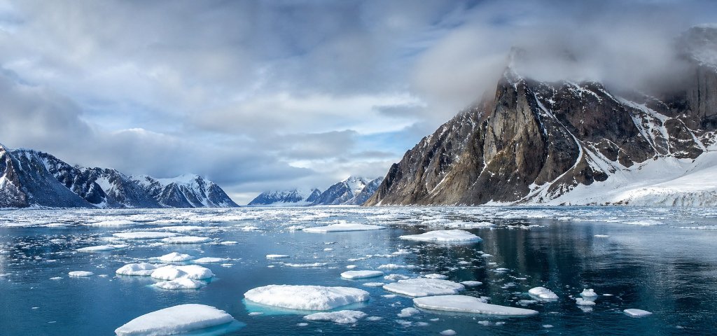 Arctic