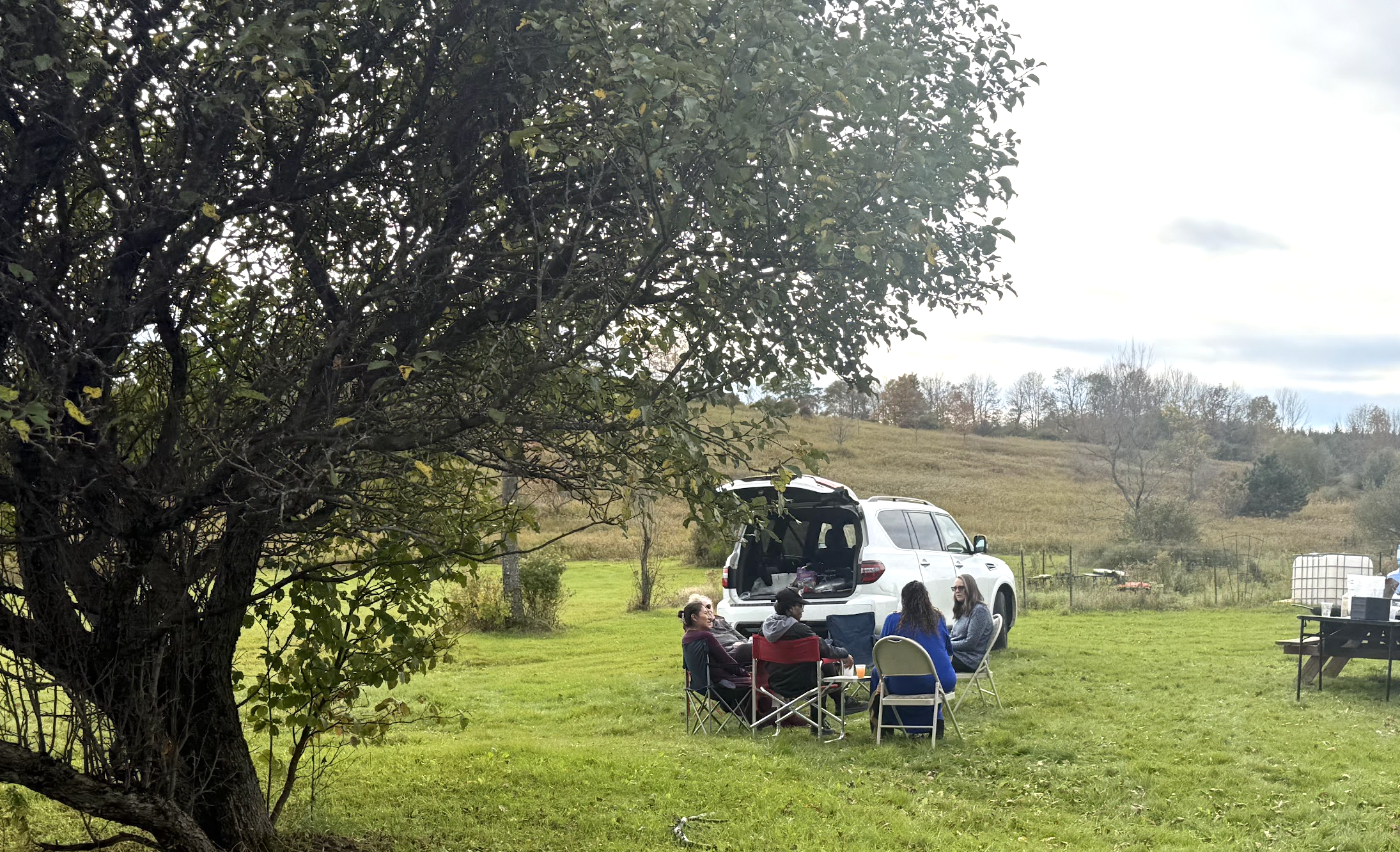 Lawn Gathering