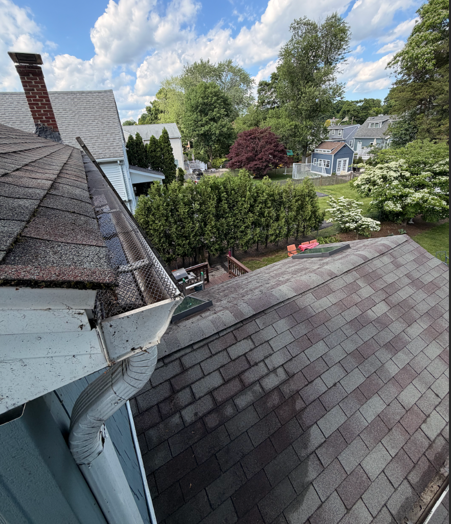 Gutter Cleaning & Guards after