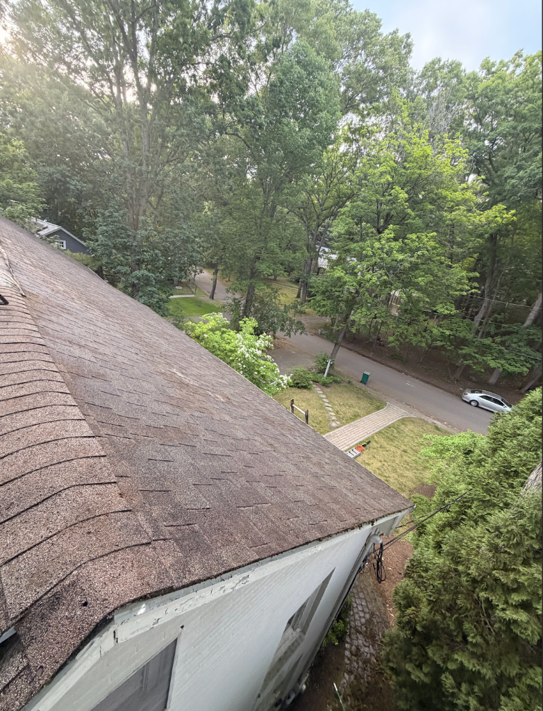 Pressure Washing after
