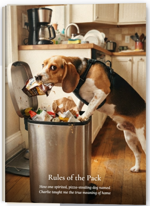 A finished PetBook Story keepsake — Rules of the Pack
