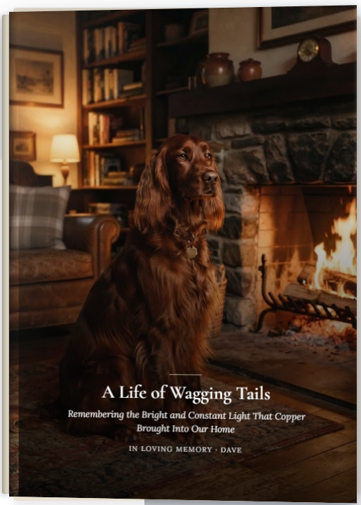 A finished PetBook Tribute — A Life of Wagging Tails, an Irish Setter remembered