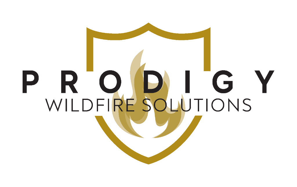 Prodigy Wildfire Solutions