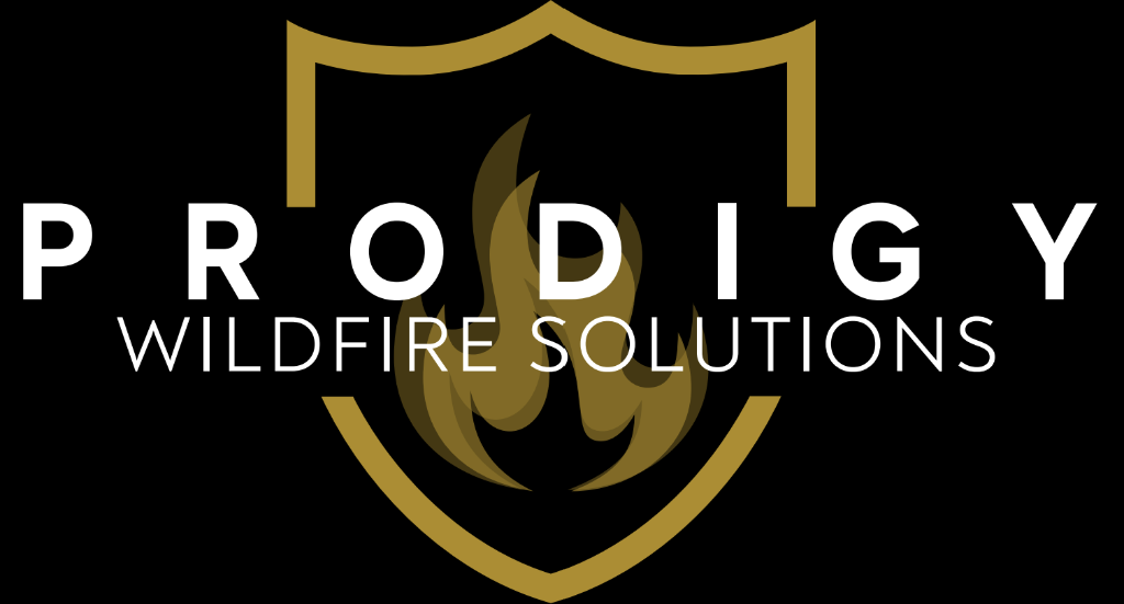 Prodigy Wildfire App Preview