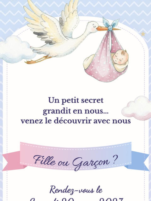 Modèle de faire-part Cigogne rose & bleu