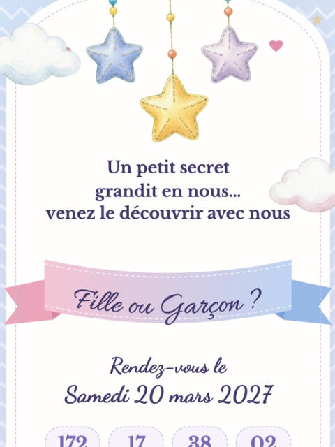 Modèle de faire-part Ourson rose & bleu
