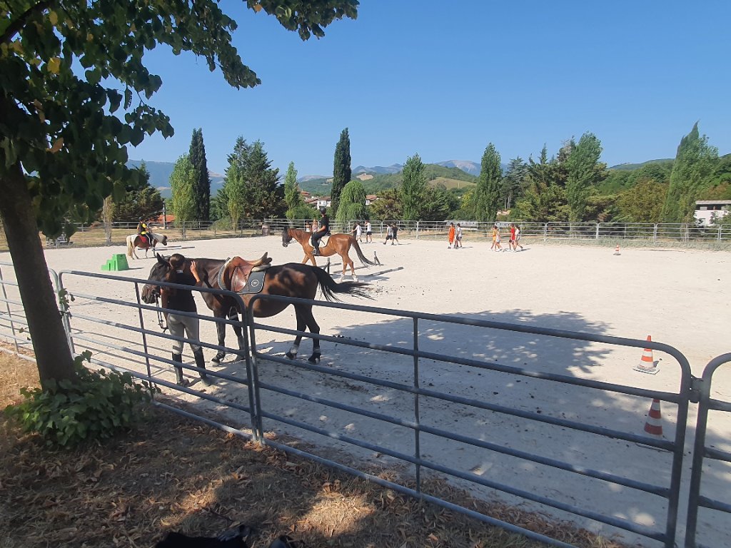 Equitazione