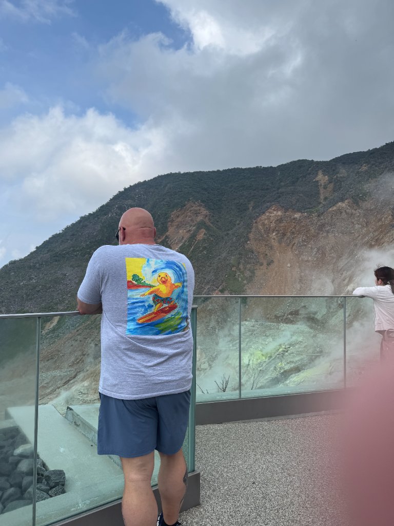 A man wearing a duck-surfing graphic t-shirt standing on an observation deck overlooking a volcanic landscape with steaming vents