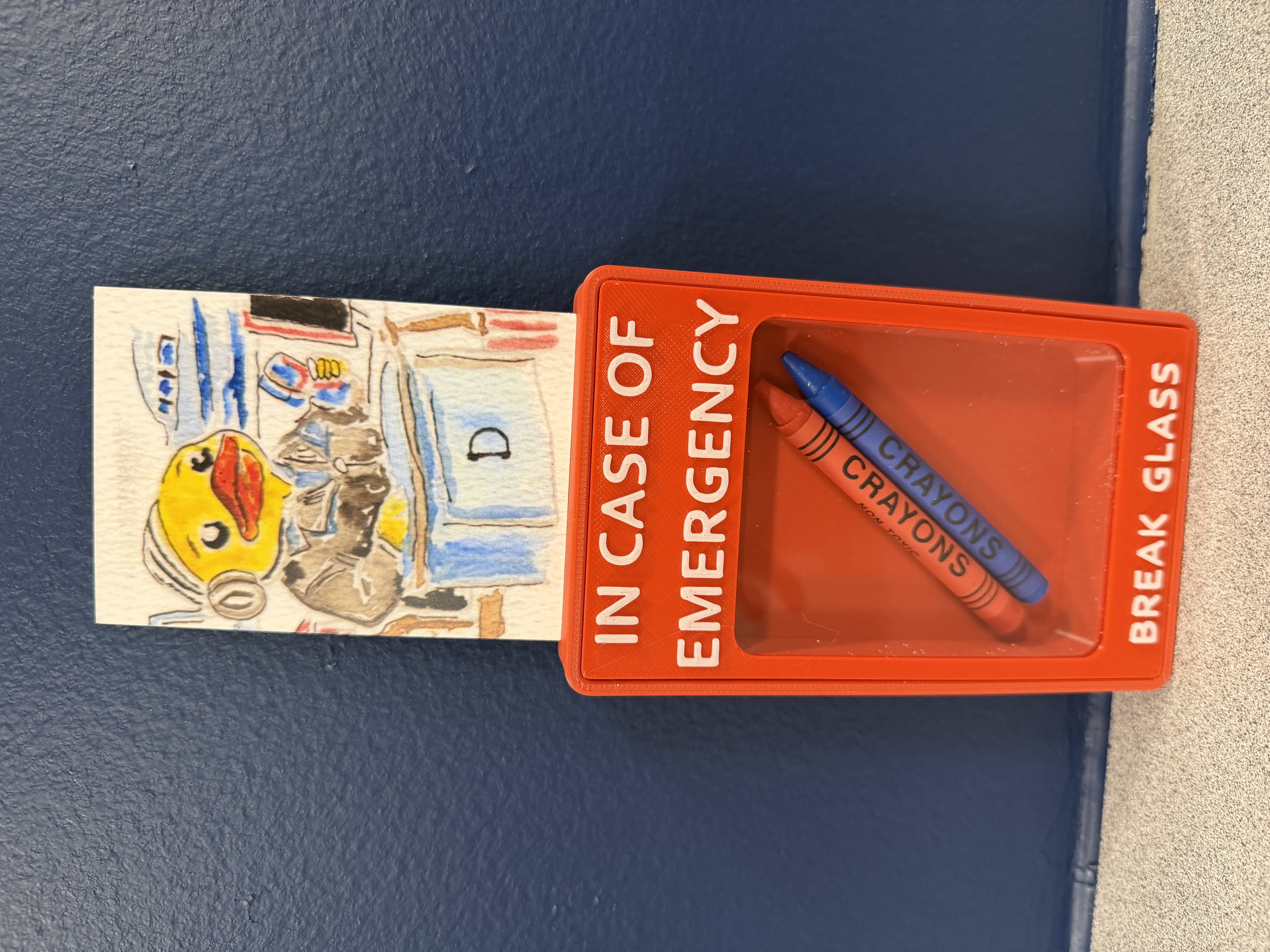 Duck found in Washington