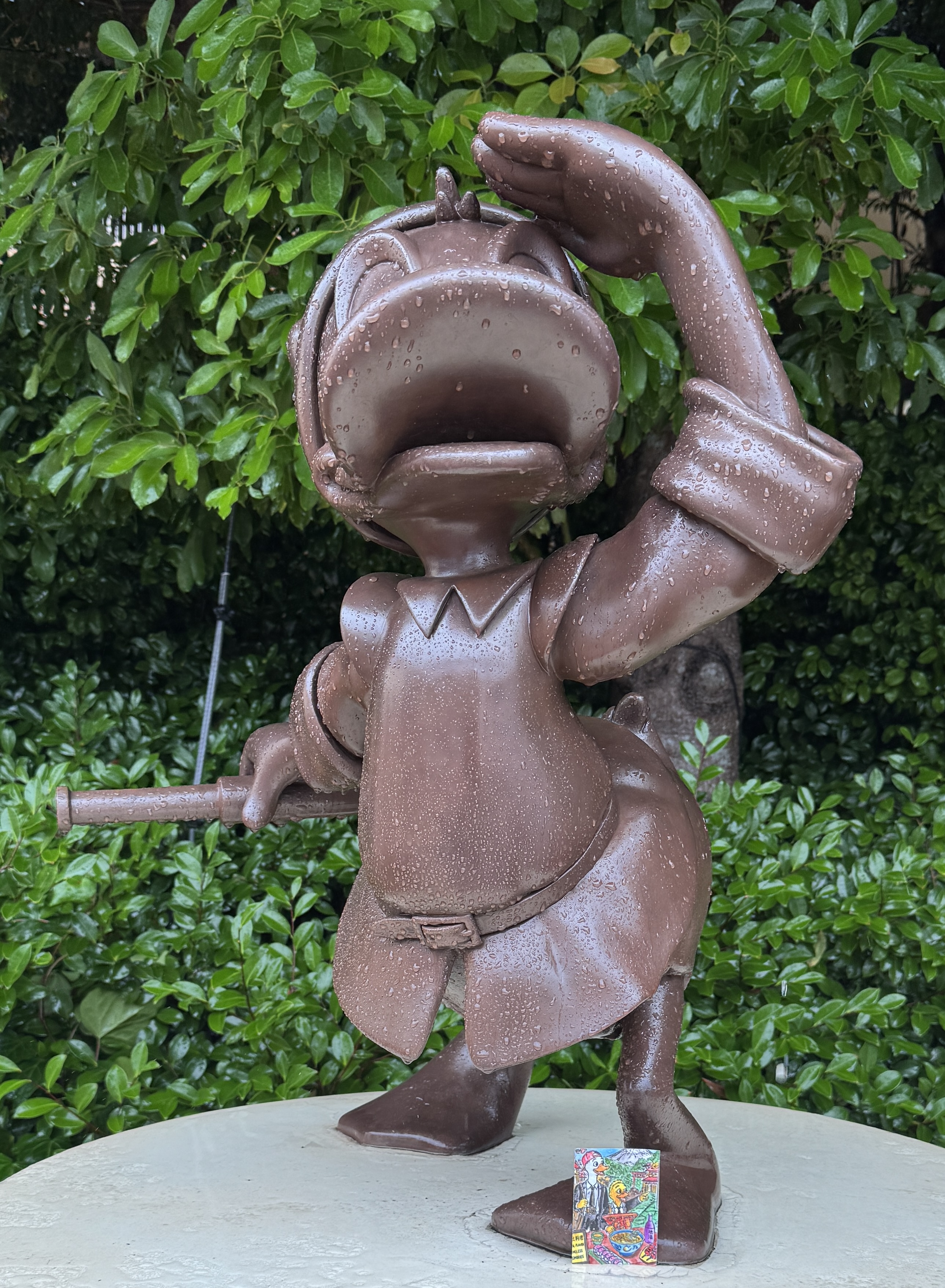 Duck found in Tokyo 