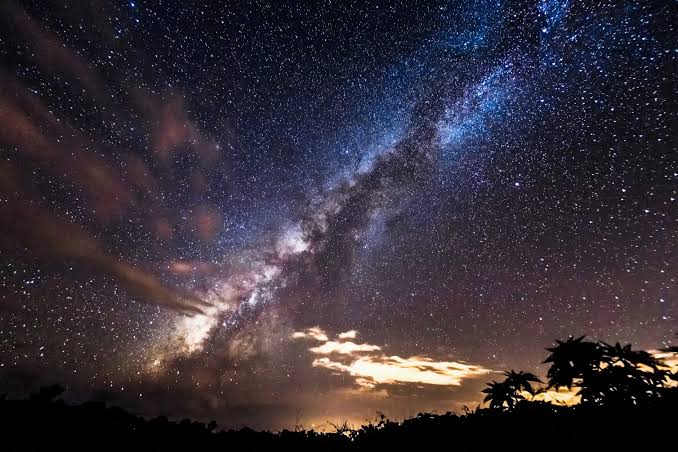 Long-exposure photograph of the Milky Way stretching across a deep indigo night sky above silhouetted Hawaiian foliage.