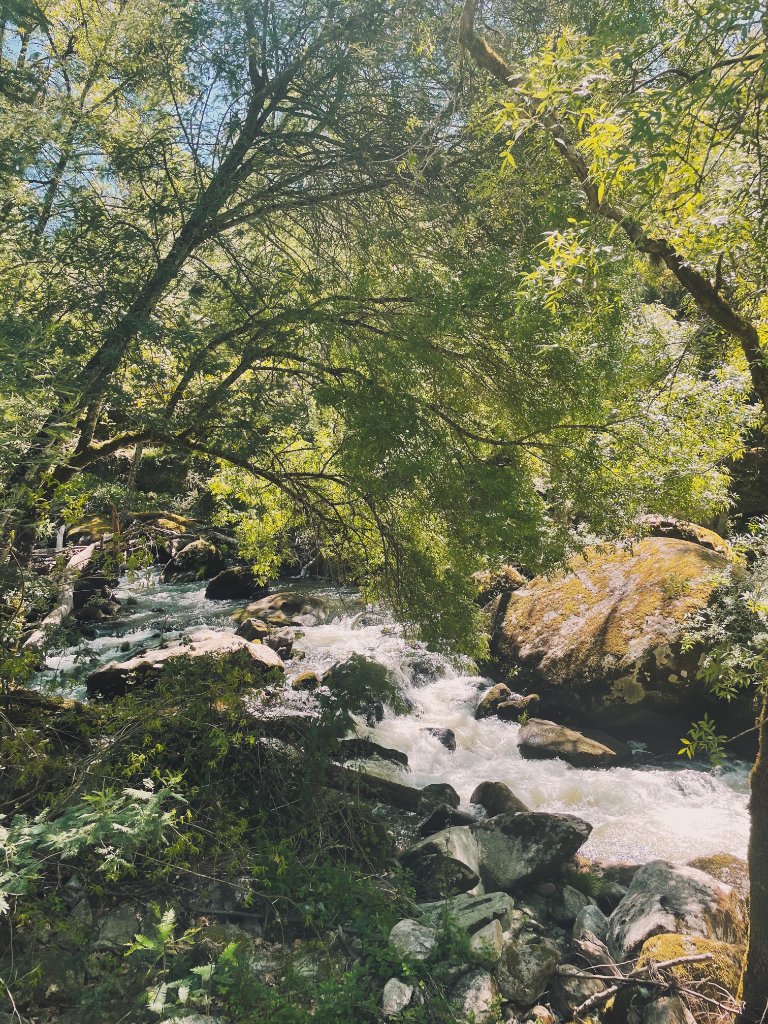 Local Waterfall