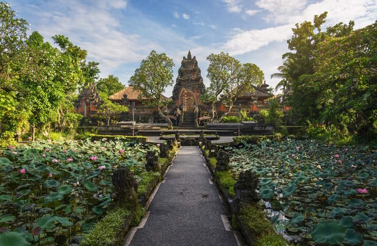 Ubud temple ceremony