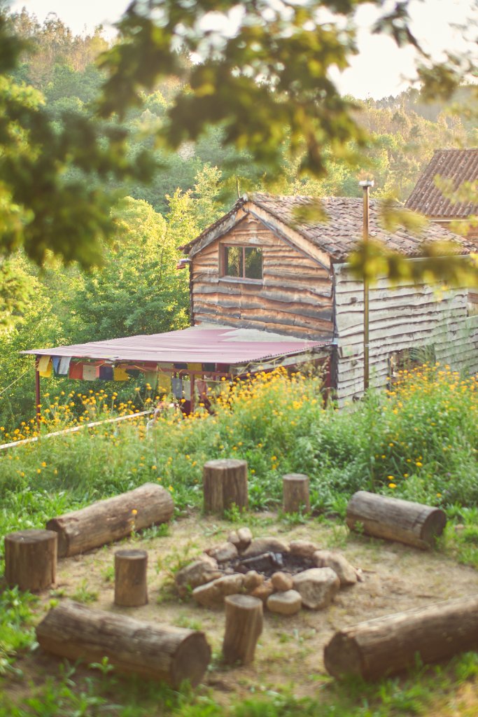The Land