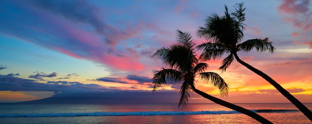 Maui sunset over the ocean with silhouetted palms