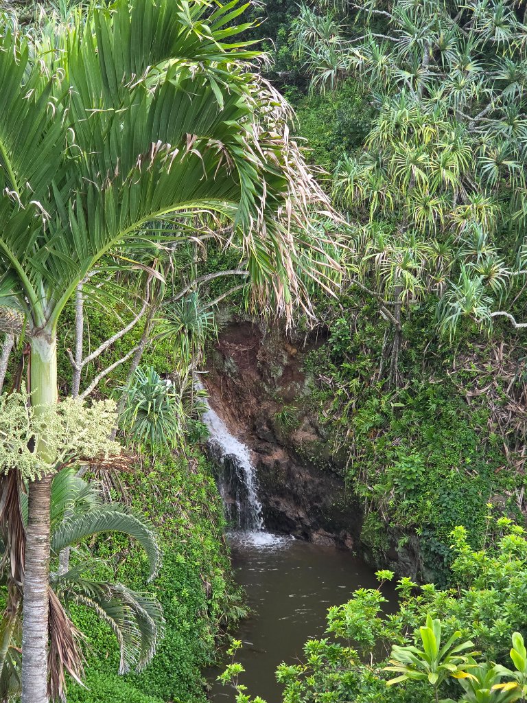 Hidden waterfall pool surrounded by tropical greenery