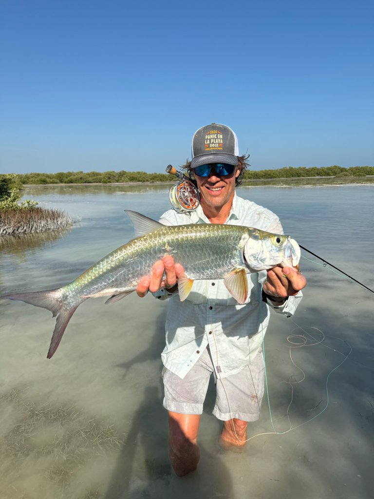 Permit & Flats