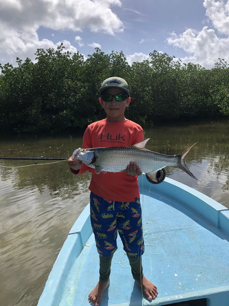 Tarpon
