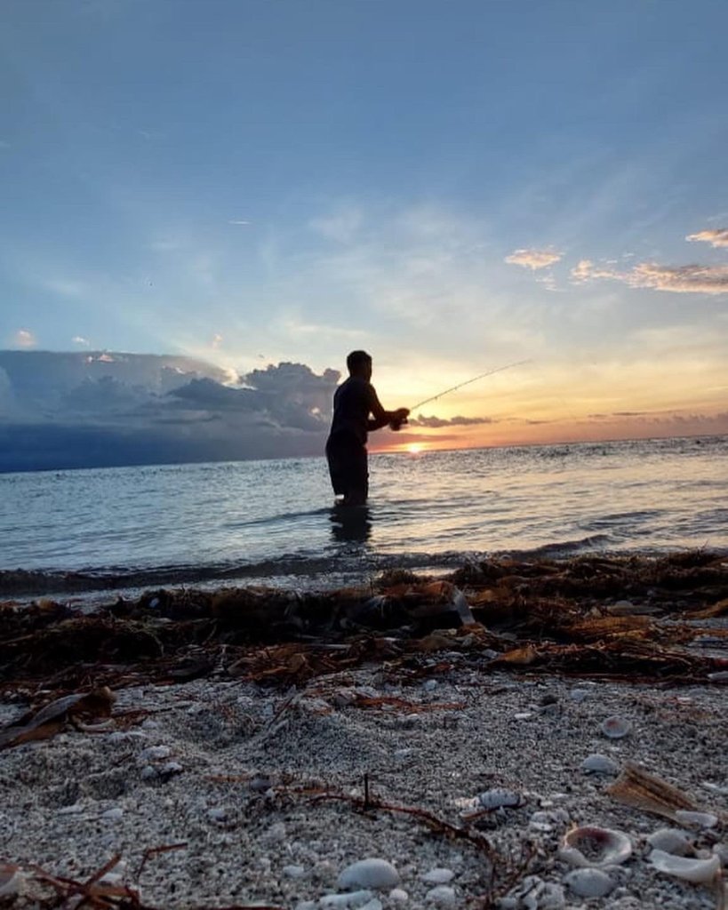 Tarpon