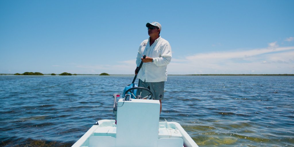 Tarpon