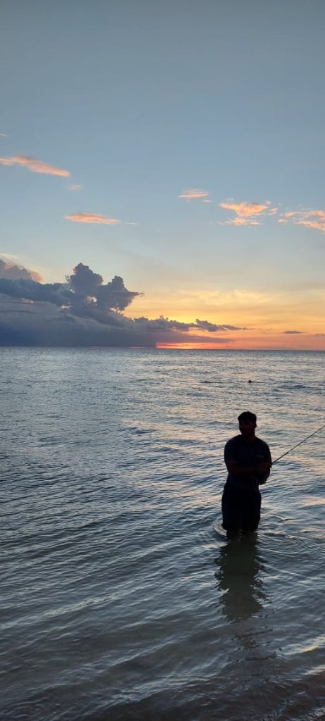Tarpon
