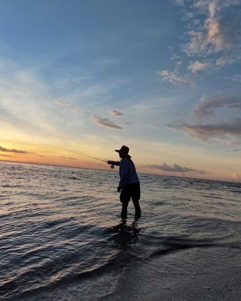 Tarpon