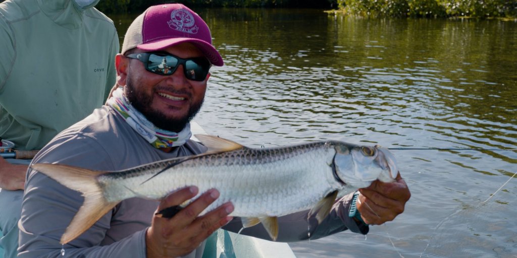 Tarpon
