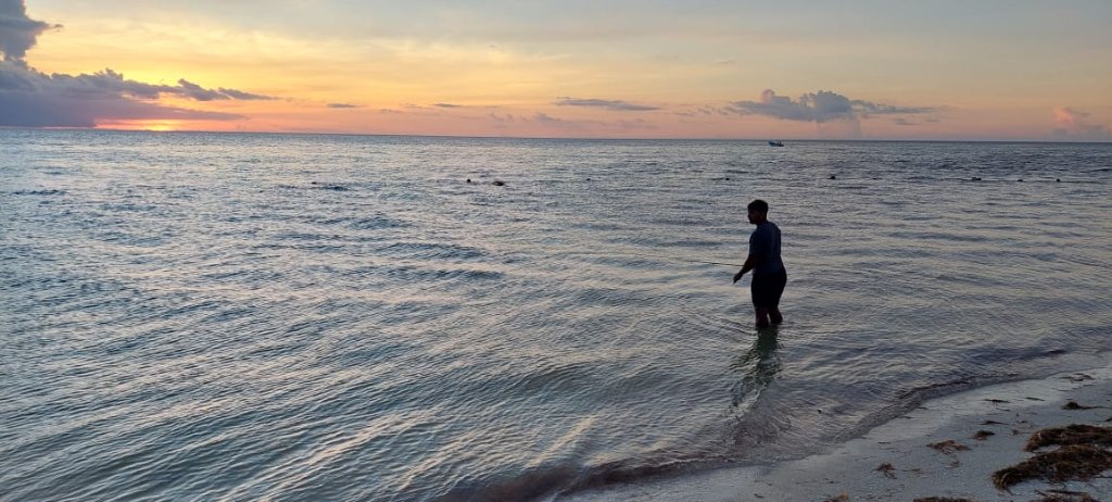 Tarpon