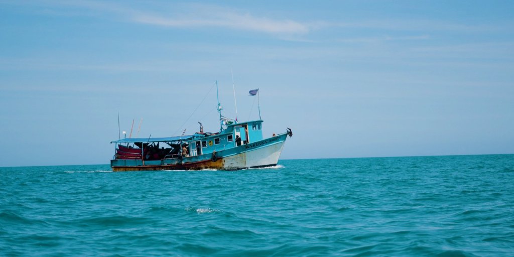 Tarpon