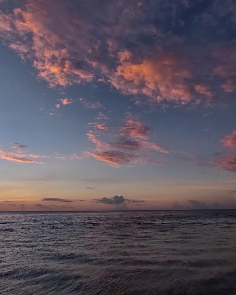 Tarpon