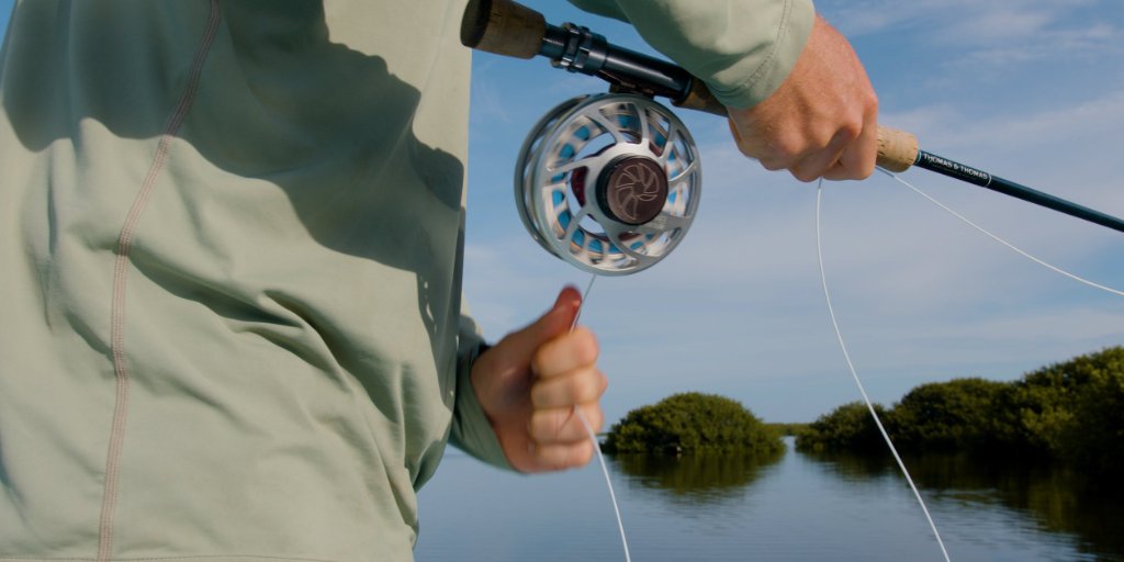 Tarpon