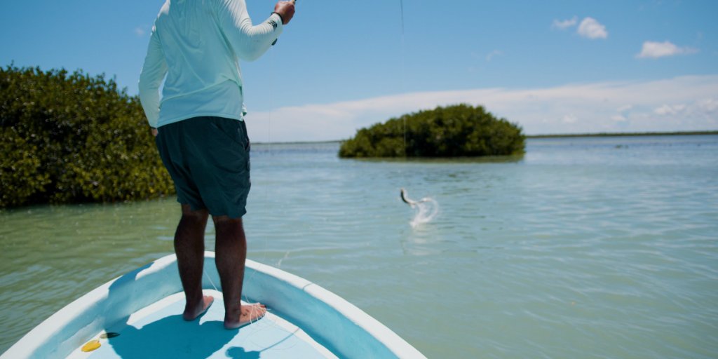 Tarpon