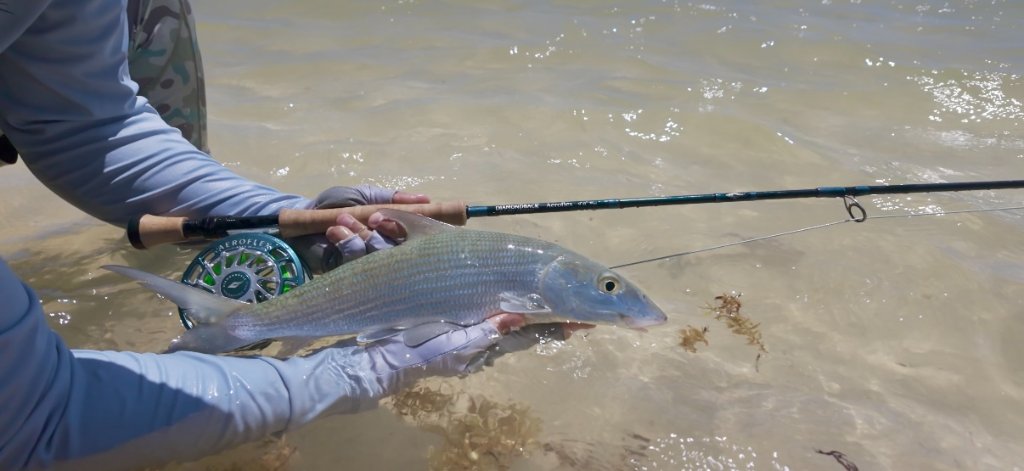 Permit & Flats