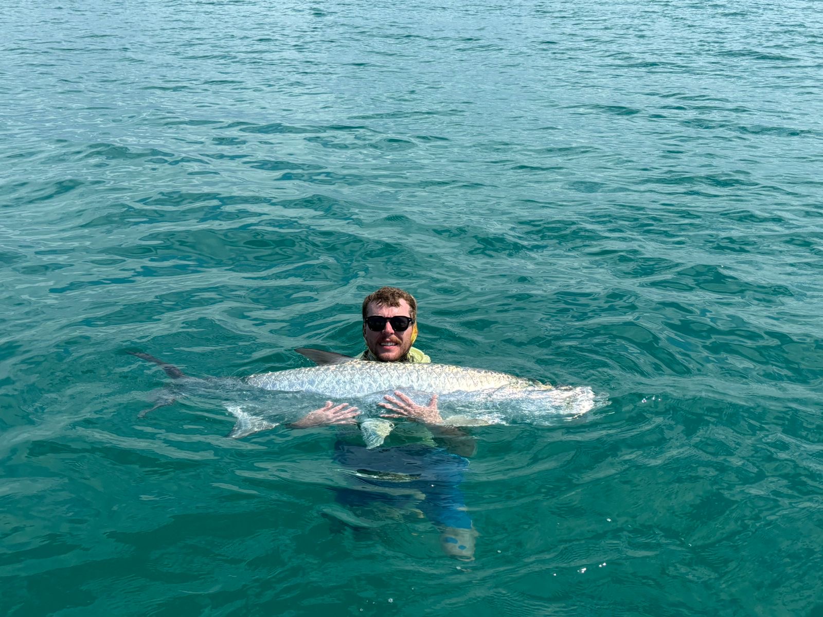 Tarpon fly fishing Holbox Mexico guide with baby tarpon in Caribbean mangroves