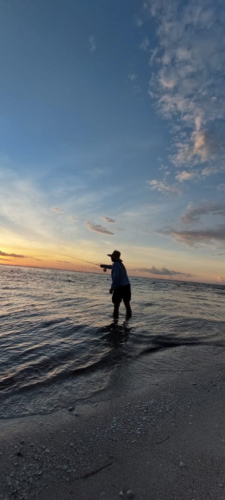 Tarpon