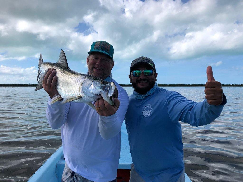 Tarpon