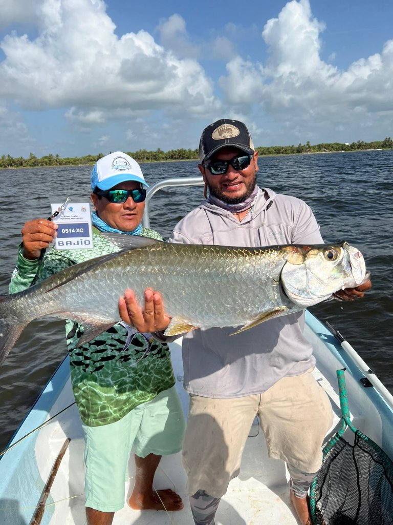 Tarpon