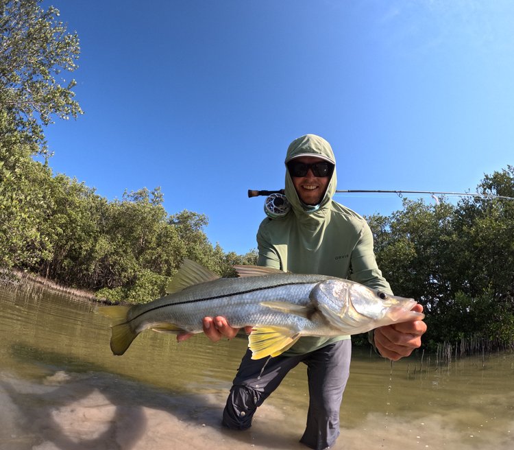 Tarpon fly fishing Holbox Mexico guide with baby tarpon in Caribbean mangroves