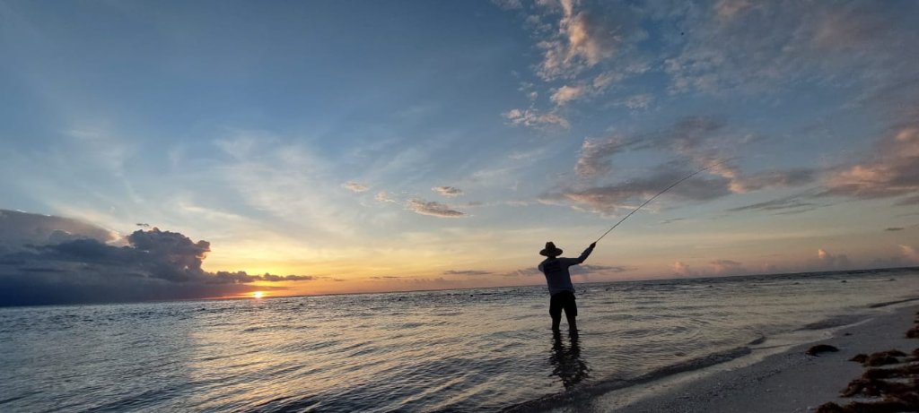 Tarpon