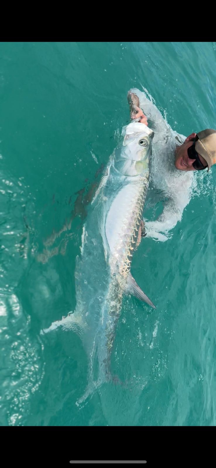 Tarpon fly fishing Holbox Mexico guide with baby tarpon in Caribbean mangroves