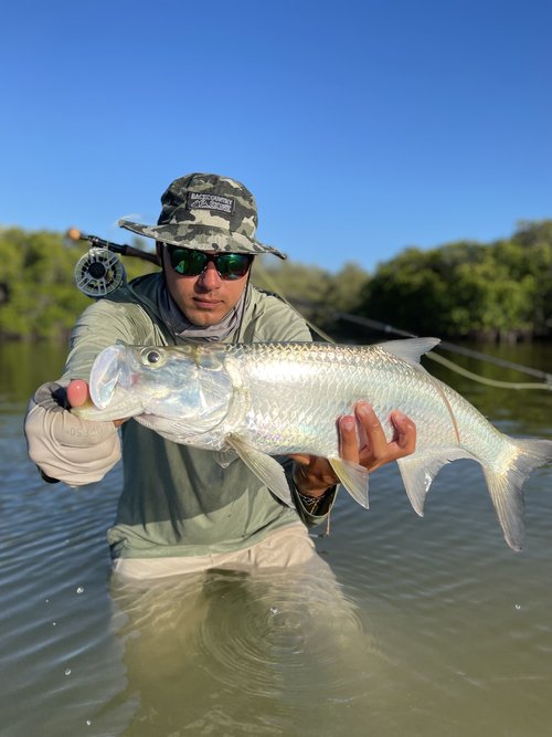 Permit & Flats