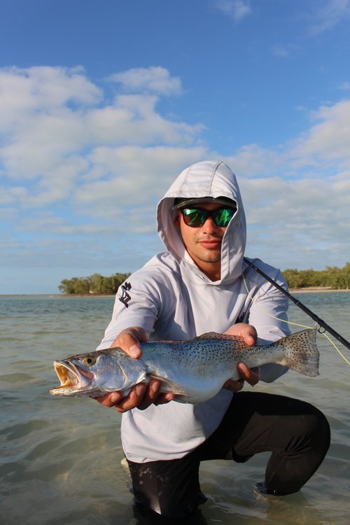 Permit & Flats